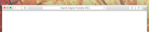 SEO Friendly URLS